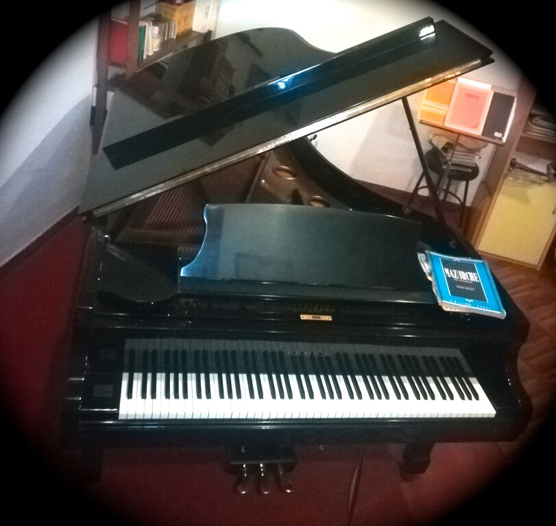 4247355 Pianoforte a coda 