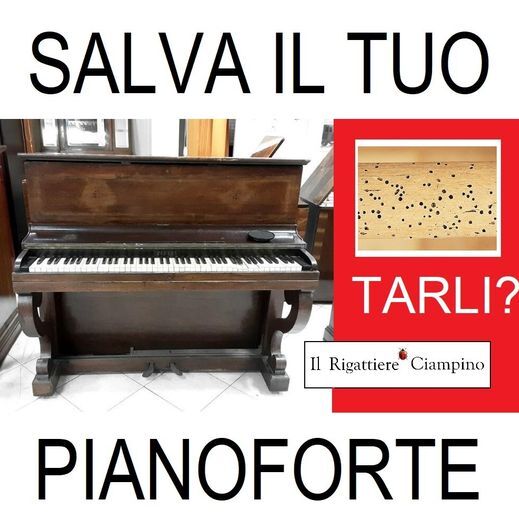 5174442 Pianoforte antitarlo tarli anti