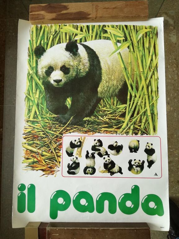 5356467 POSTER IL PANDA