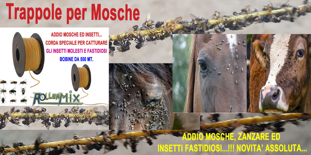 4942862 TRAPPOLE SPECIALI PER MOSCHE,