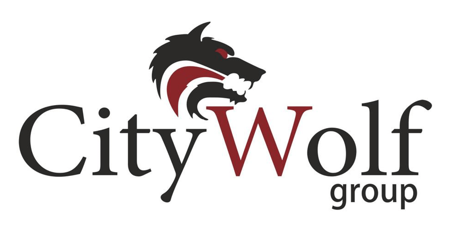 4516226 CITY WOLF GROUP azienda operante